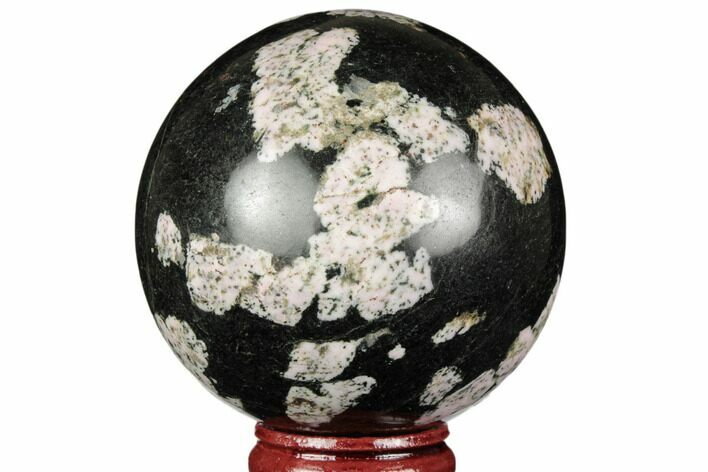 Polished Snowflake Stone Sphere - Pakistan #187523